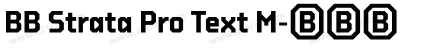 BB Strata Pro Text M字体转换 BB Strata Pro Text M字体转换